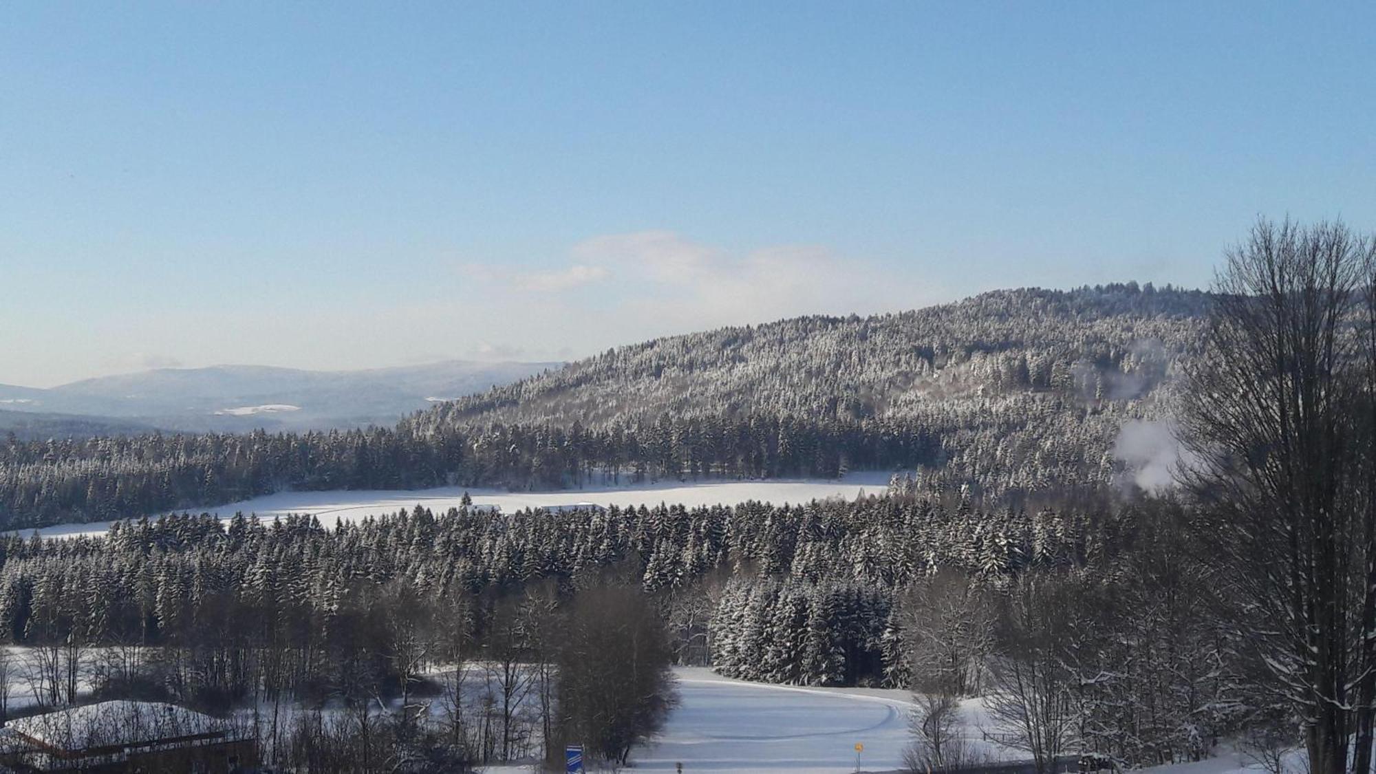 Fewo-Harlachberg-Blick-1 Bodenmais Luaran gambar
