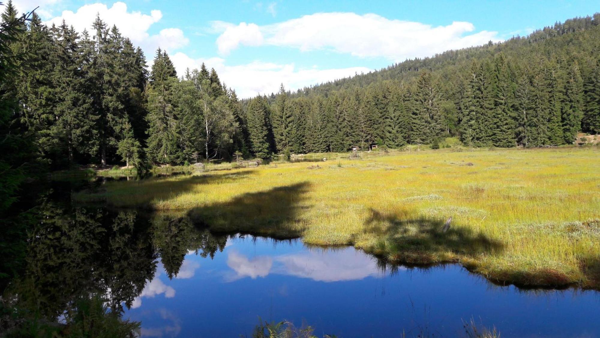 Fewo-Harlachberg-Blick-1 Bodenmais Luaran gambar
